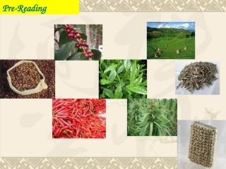 unit-4-reading-&-language-points