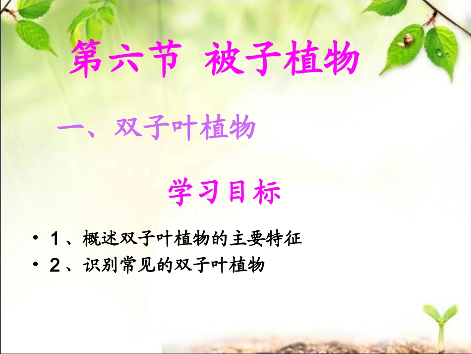 第六节被子植物_第2页