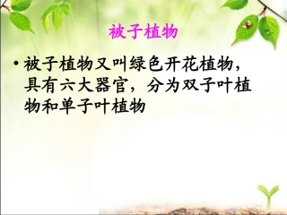 第六节被子植物