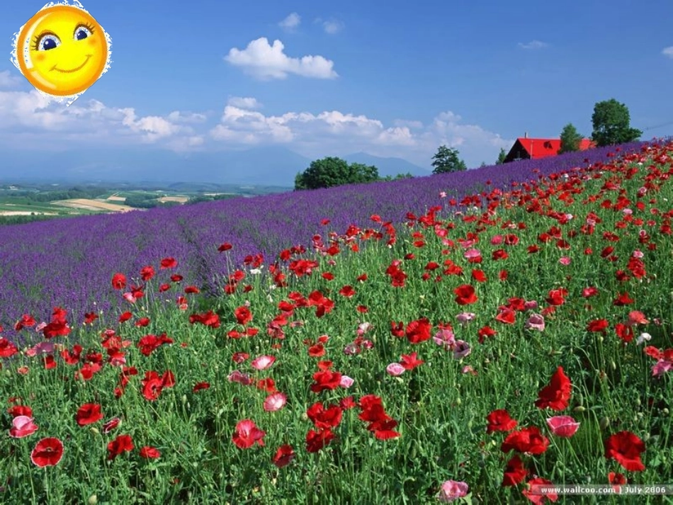 657太阳是大家的_第3页