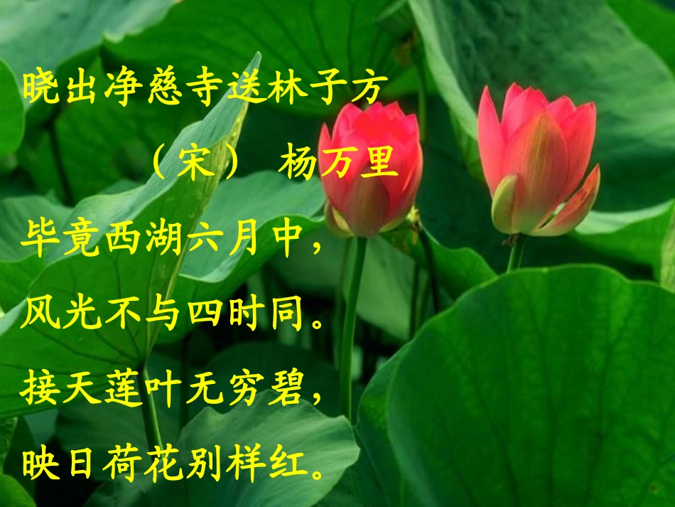 讲述-(2)_第1页