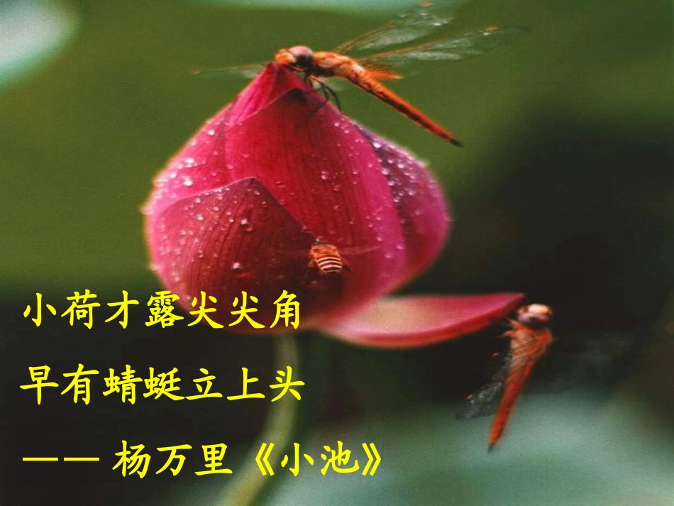 讲述-(2)_第3页