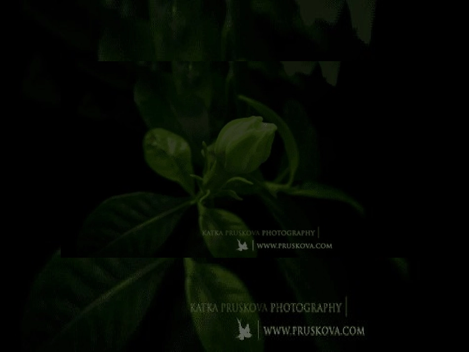 (音乐游戏)打花巴掌_第3页