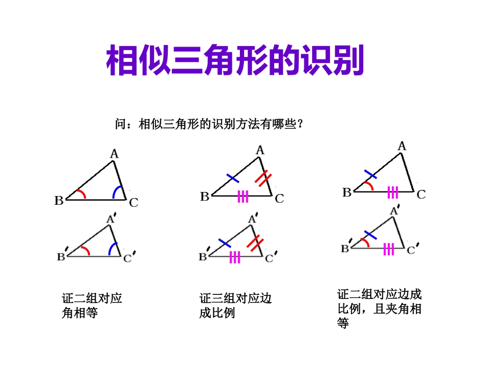 相似三角形的对应线段的关系_第2页