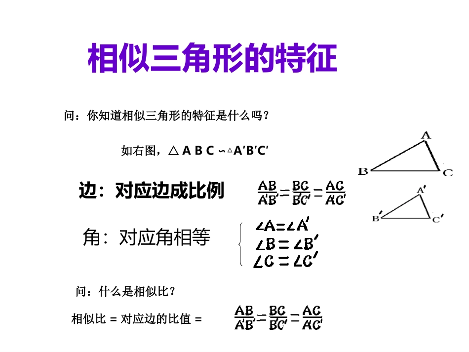 相似三角形的对应线段的关系_第3页