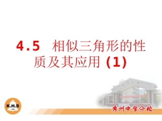 4.5相似三角形的性质及应用-(2)