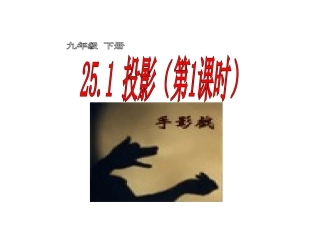 25.1投影