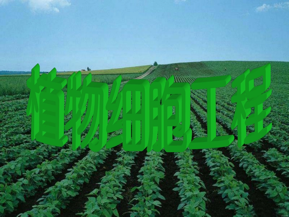 科学·技术·社会植物的组织培养-(3)_第1页