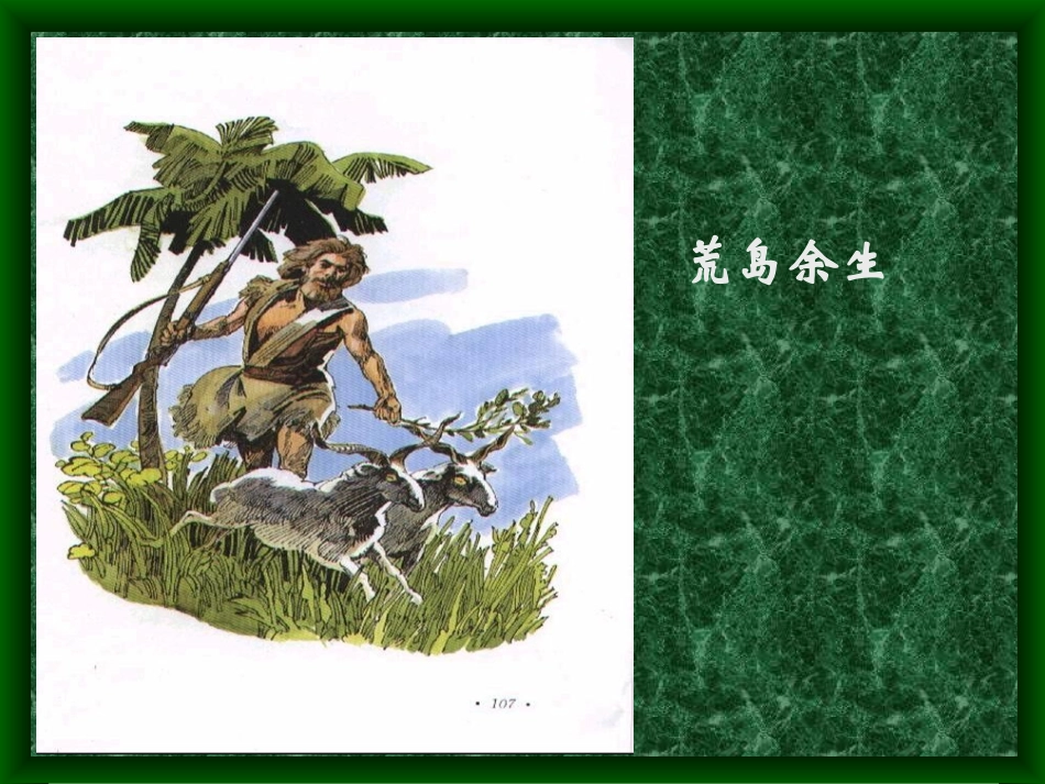 《荒岛余生》课件1_第1页