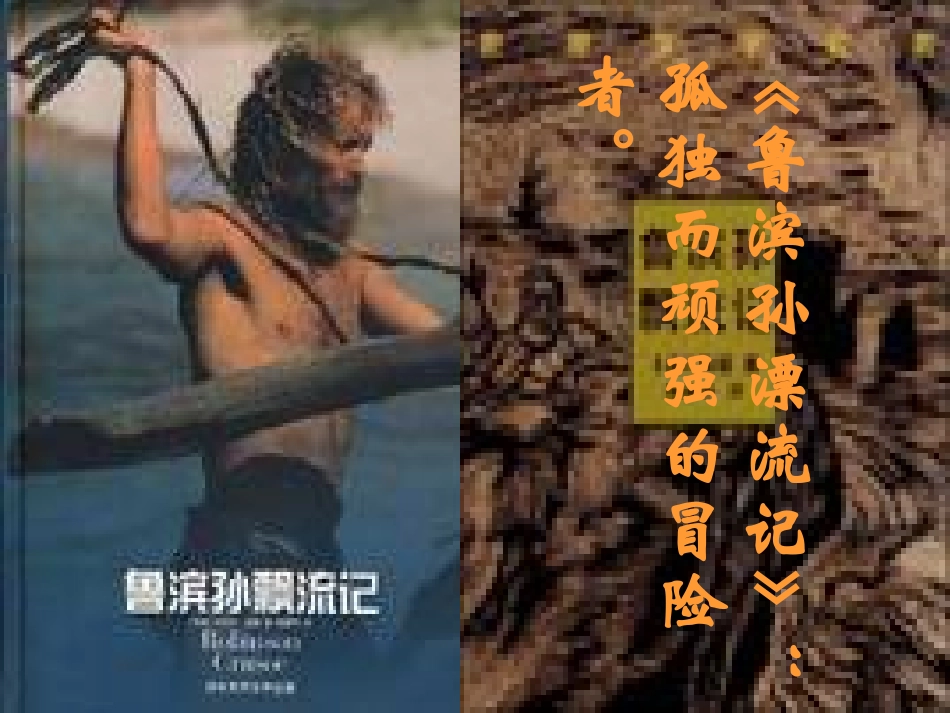 《荒岛余生》课件1_第3页