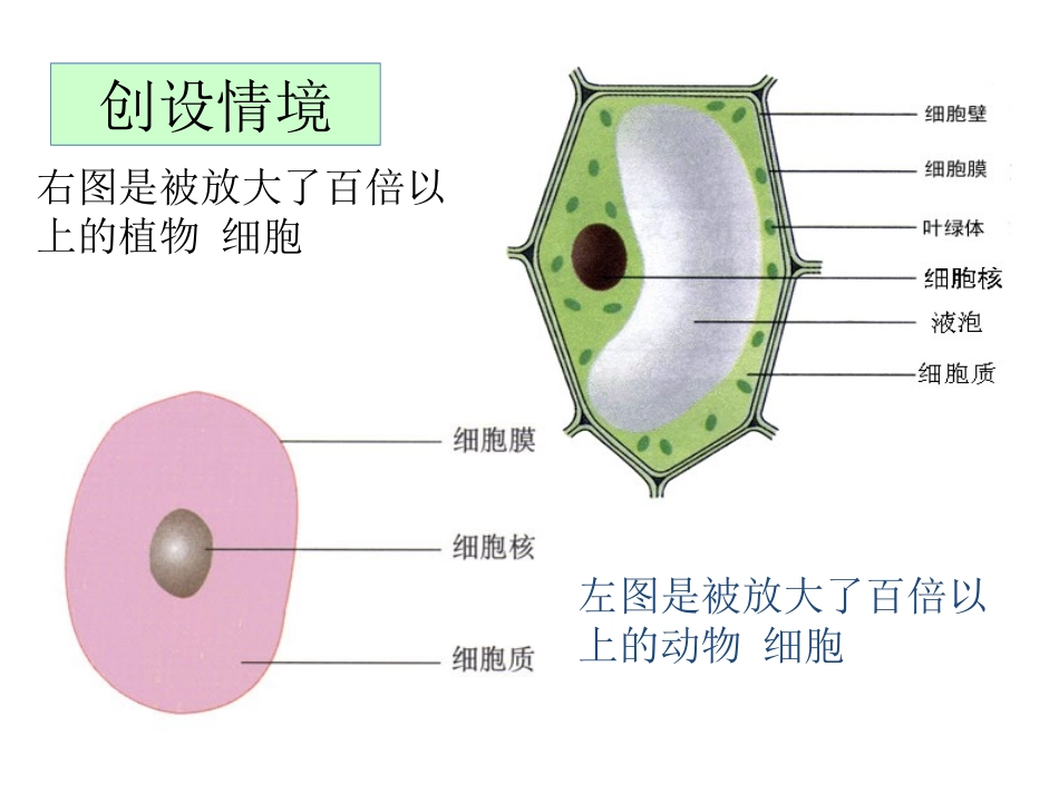 科学·技术·社会-人类探索微观世界不可缺少的工具——显微镜-(3)_第2页