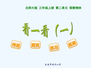 小学数学北师大2011课标版三年级观察物体---看一看