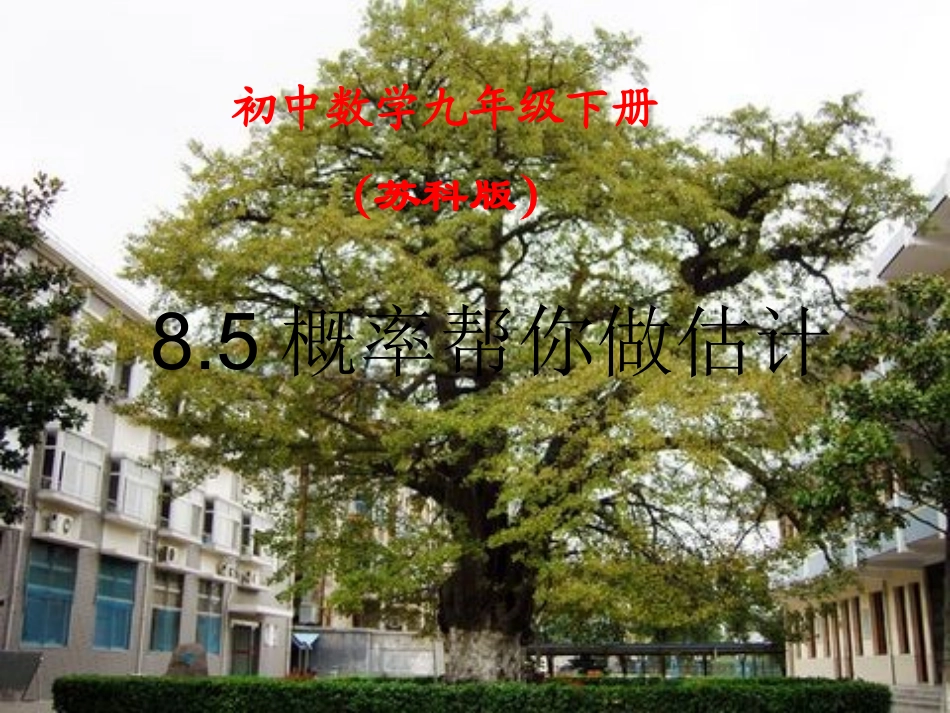 8.5概率帮你做估计_第1页