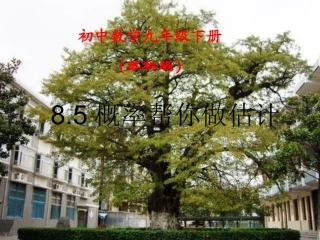 8.5概率帮你做估计