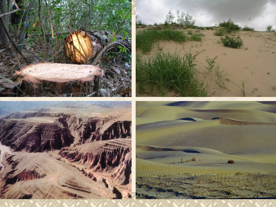 第三节生态环境保护_第2页