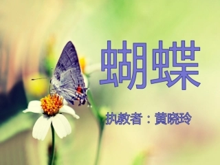 (演唱)蝴蝶