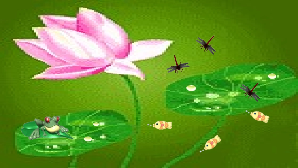 (部编)人教语文2011课标版一年级下册13、荷叶圆圆-(4)_第3页