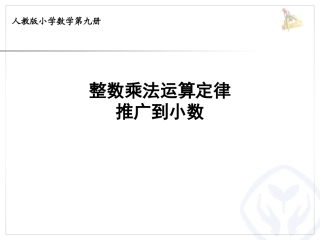 整数乘法运算定理推广到小数