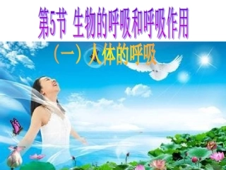 第5节生物的呼吸和呼吸作用(1)