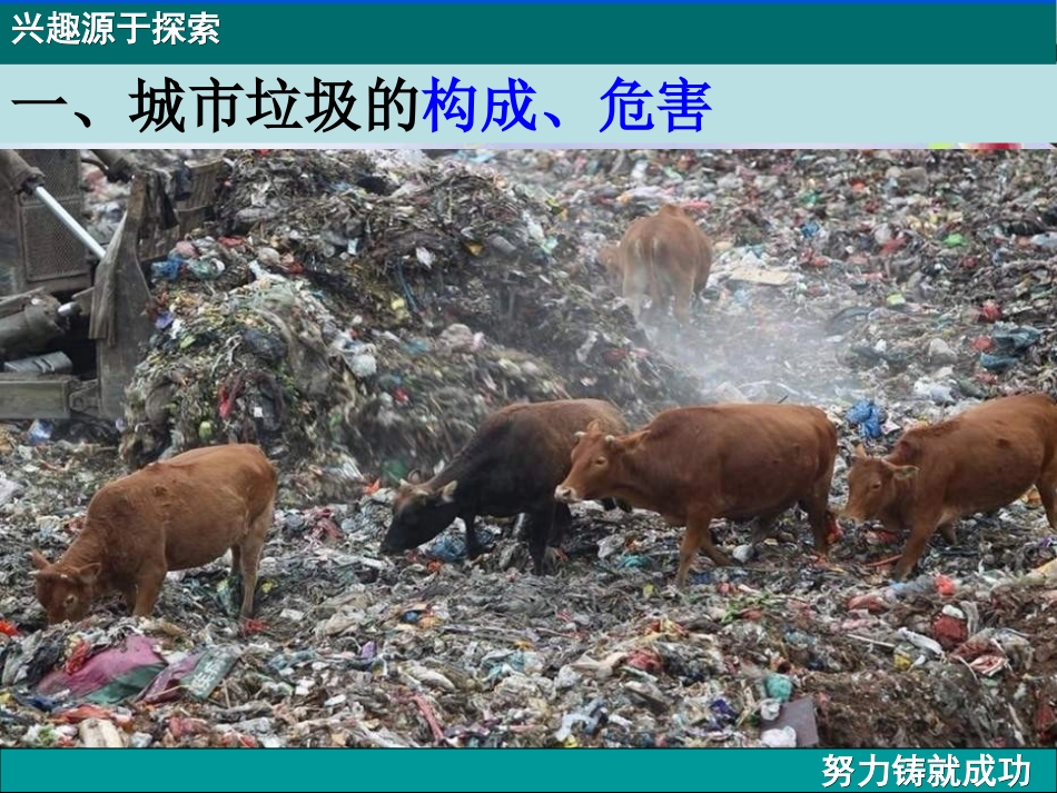 第三节城市垃圾污染的防治_第3页