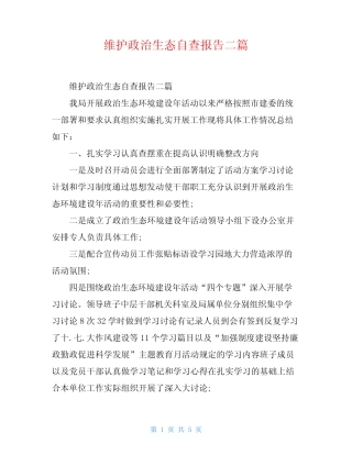 维护政治生态自查报告二篇