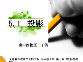 29.1投影