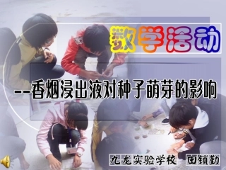 数学活动香烟浸出液对种子发芽的影响