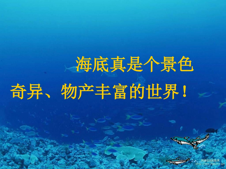 海底世界-(3)_第2页