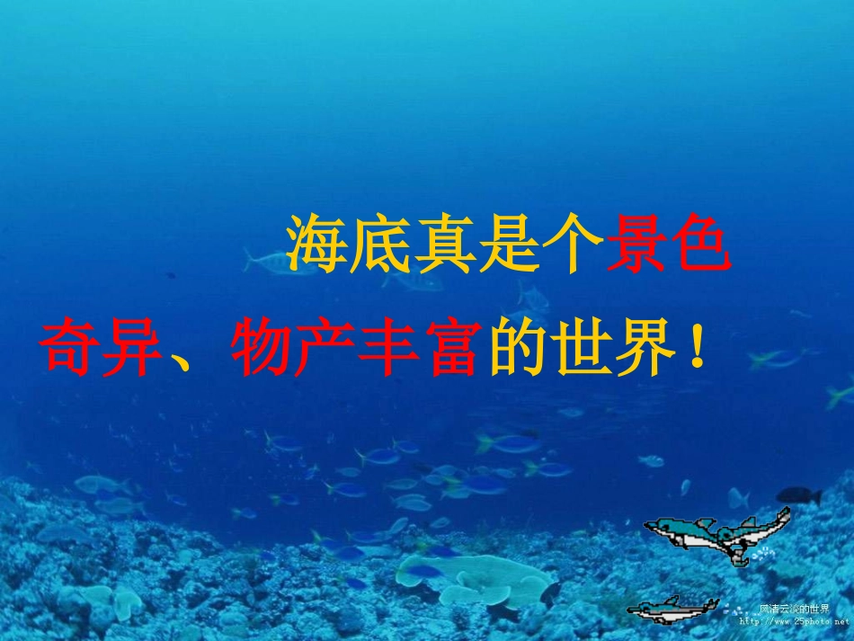 海底世界-(3)_第3页