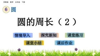 5.圆周长公式的应用