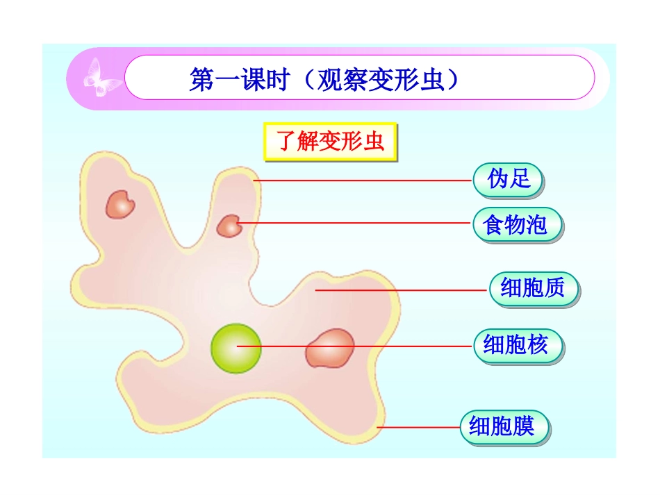 生物：第3章第2节2013下细胞是生命活动的单位1课件(北师大版七年级上)_第2页