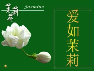 爱如茉莉第二课时-(2)