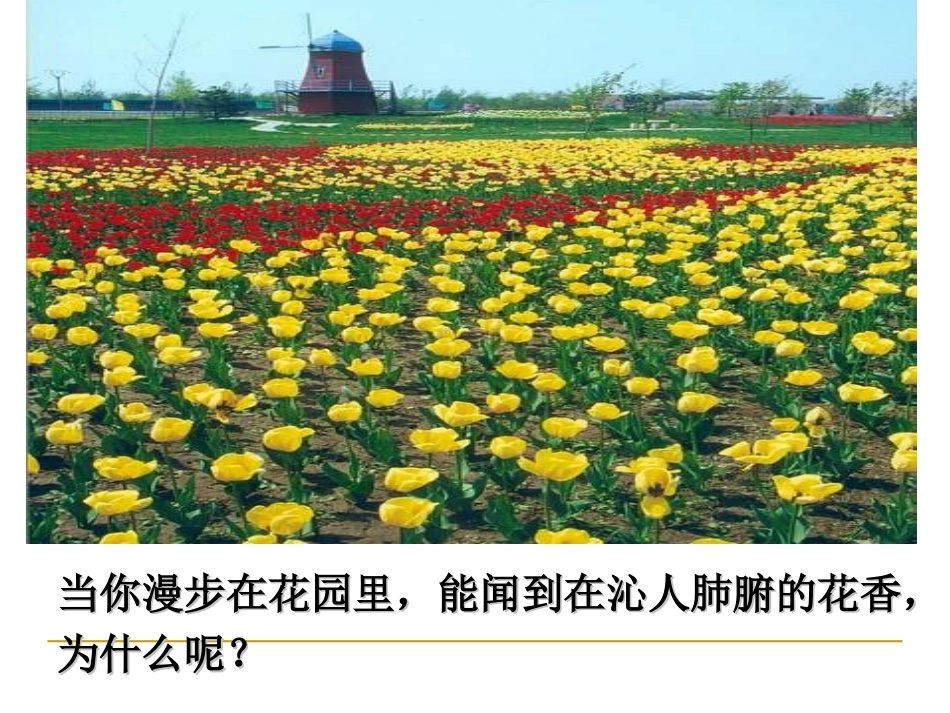 九年级上册第三单元-课题1分子和原子PPT-3_第2页
