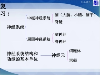 第三节神经调节的基本方式-(2)