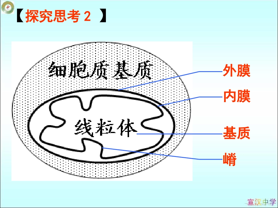 细胞呼吸课件_第3页