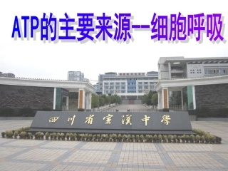 细胞呼吸课件