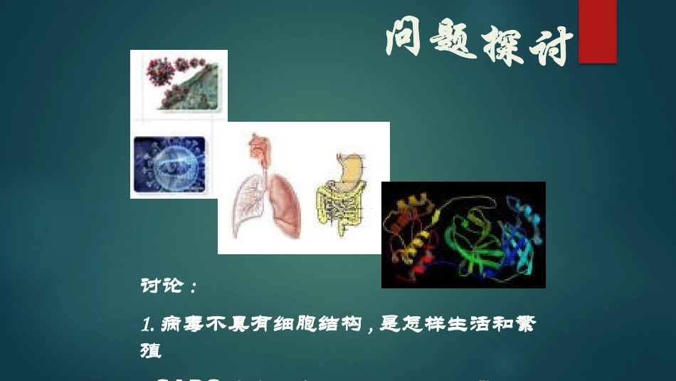 二对细胞的深入探索_第2页