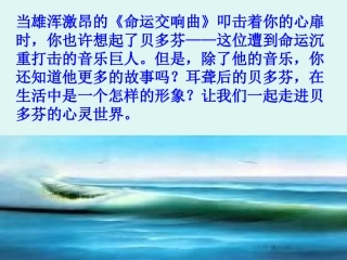13.音乐巨人贝多芬