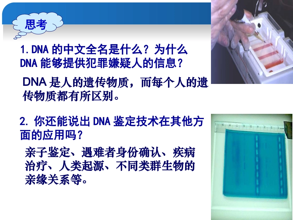 核酸的结构和功能_第3页