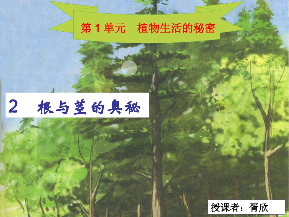 2根与茎的奥秘_第1页