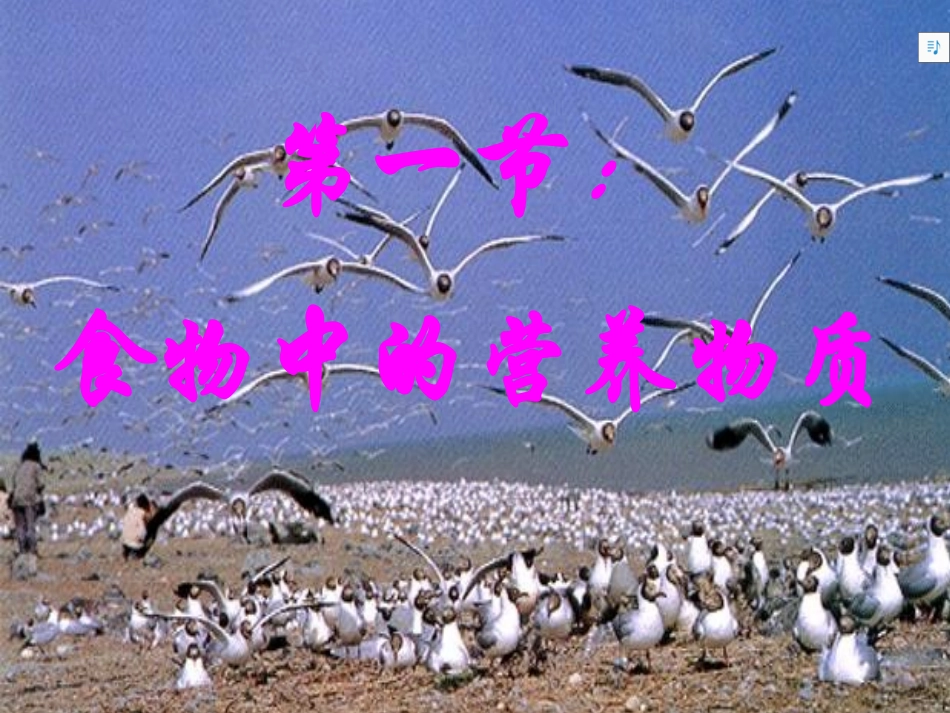 第一节食物中的营养物质-(3)_第1页