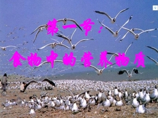 第一节食物中的营养物质-(3)