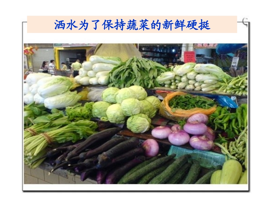 被动运输-(2)_第2页