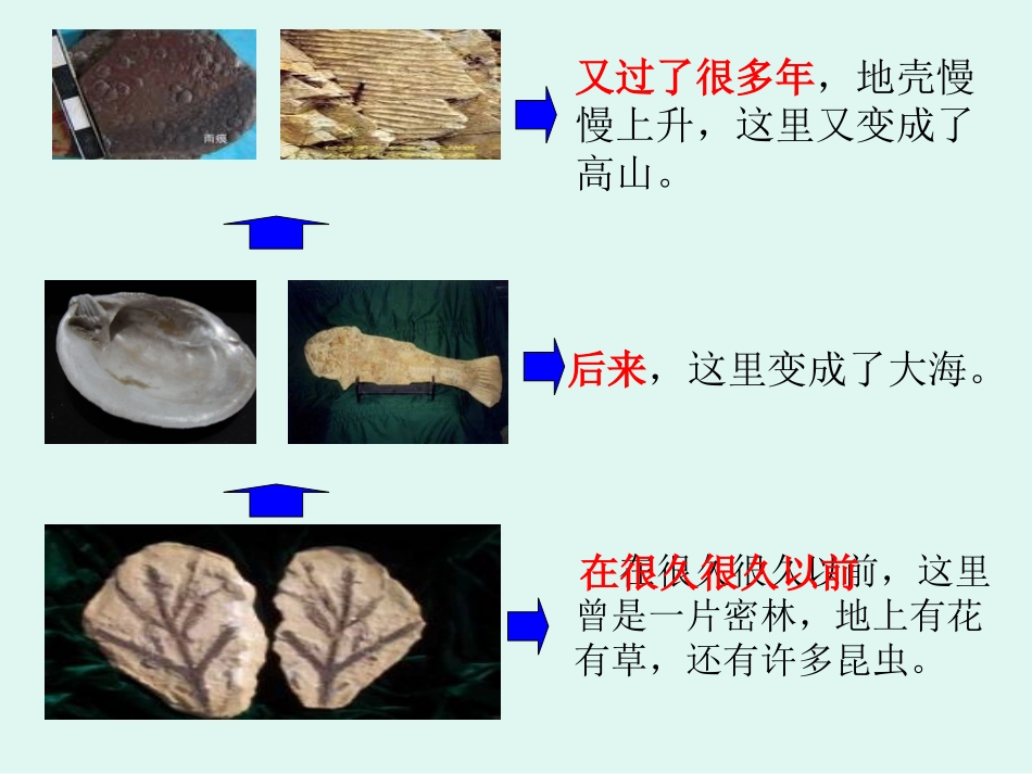 《石头书》4_第3页