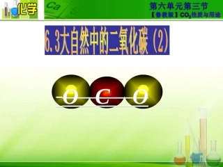 第三节大自然中的二氧化碳