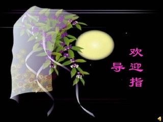 虞美人-(4)
