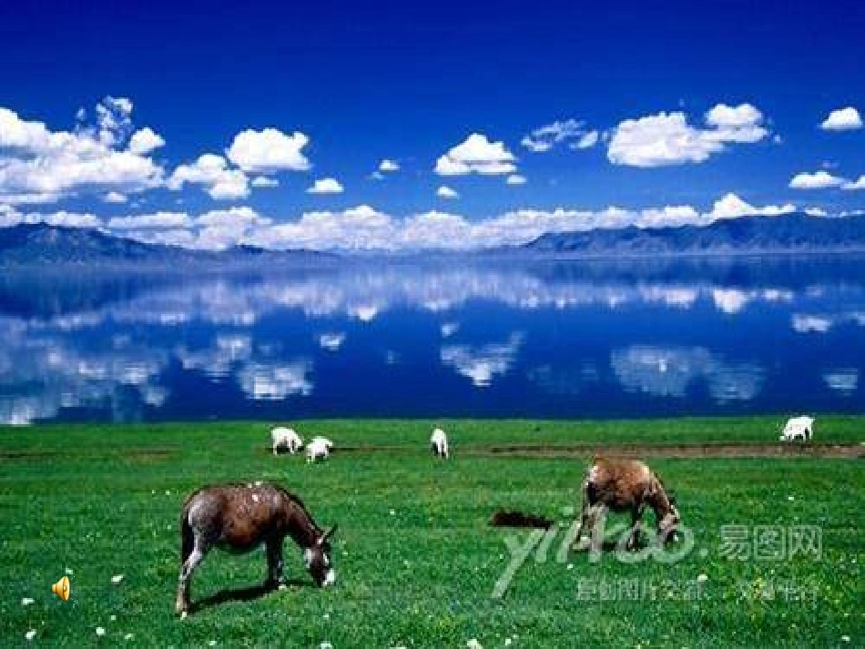 美丽的草原我的家_第3页