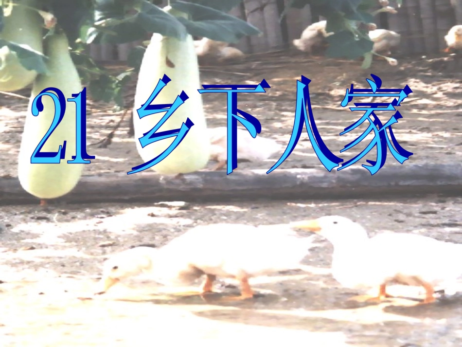 王宜睿《乡下人家》课件_第1页