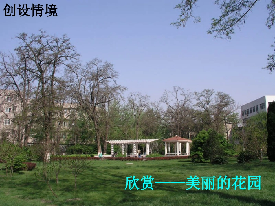 我家的大花园_第2页