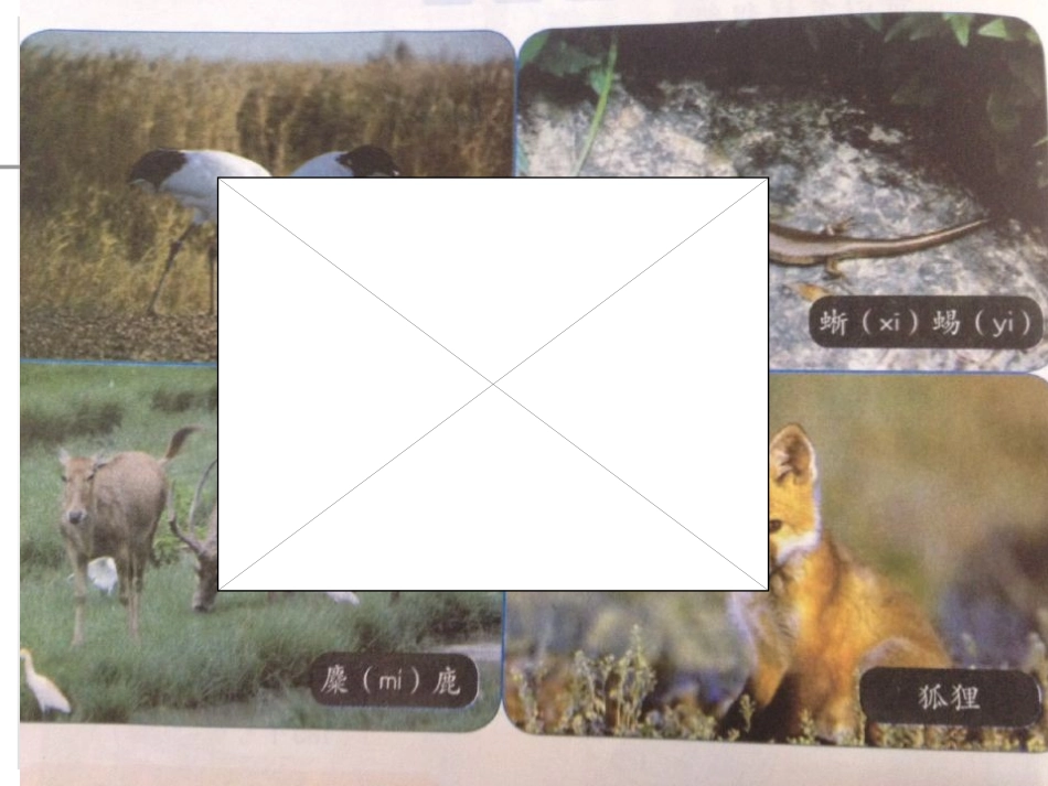 小学数学人教2011课标版三年级万以内的加法-(2)_第2页